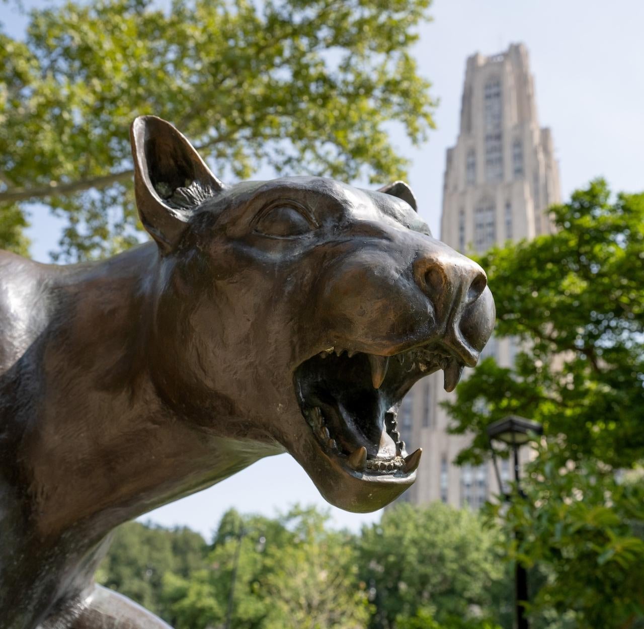 Panther statue and the cathedral